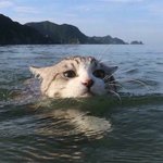 [댓글부탁해] 나 <b>파데</b>나 쿠션 추천좀 !