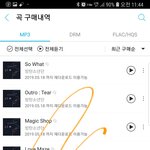 [방탄소년단] 개별곡 다운받은 후 스밍리스트 다시 짜야하는거 맞지...