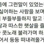 으휴 동생 <b>개불쌍</b>