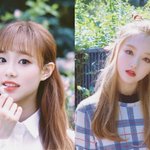 [이달의소녀] 비주얼 씹오짐