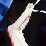 [LEO] 레오님 <b>요염</b>하시다