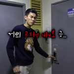 [조언부탁해] 최홍철 옷 뭔지 아는사람