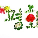 [꼭봐주세요] 5월 가정의 달에 펼쳐지는 세계평화선언 5주년 기념행사가...