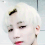 [세븐틴] 허ㅏㅏ아어ㅏ터아ㅏㅇ얘들아미안한데 이것좀봐줘제발