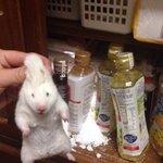 아니 <b>액</b><b>괴</b> 유튜버하는 애들 ㅋㅋ