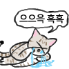 무서운거 보고나니까 <b>잠</b>이 안<b>옴</b>ㅠㅠㅠㅠ