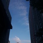 <b>산책</b>나왔어!