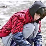 수련<b>회랑</b> 수학여행이랑 머가 다른 거야?