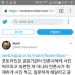 홍대 몰카범을 <b>포토라인</b> 세운 것에 대해 경찰을 욕하는지 모르겠습니다