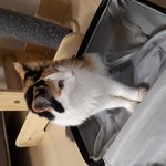 [리얼<b>멜리</b>] <b>멜리</b> 사진 몇장