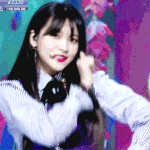 파데 바르고 쿠션