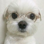 아이돌 <b>눈시력</b>좀 알려주라!!!