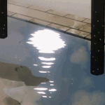 옷 살때 너무 쪽팔림ㅠㅠ