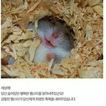 [드루와] 내일 ㅈㄴ 학교 안 가고싶은디 ㅠㅜ