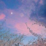 [댓글부탁해] 짝남이랑 손바닥에 <b>본드</b>붙이고다니고싶어