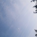 [ㅈㄱㄴ] 판에 <b>손바닥</b> <b>사진</b> 올렸었는데