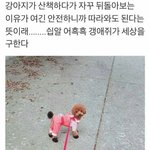 [드루와] 오늘 나의 퍼펙트 계획을 알려주지