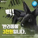 [꼭봐주세요] 대형마트 <b>소동물</b>판매금지청원 동참부탁드립니다.