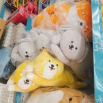 [댓글부탁해] 자매들사이에서 왕따인애 있냐??