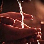 생명과를 가지고오신 하나님?