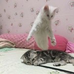 [모두드루와] 찌라시 하나 갖고왔음