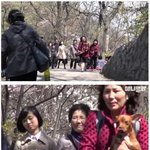 [<b>명랑</b>엽떡] 북한의 애완견