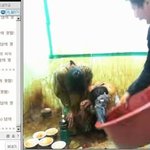 철구는 여혐문제로만 볼 게 아님