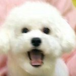 [EXO] 어그로나가아아아<b>아악</b>