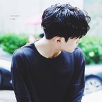 [세븐틴] 다시찾아온 타팬...