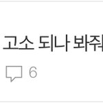 <b>영자</b> 내 글 왜 삭제 시킴???