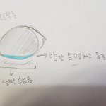 고양이 <b>눈병</b>???