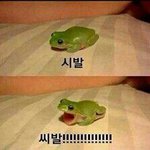 [댓글부탁해] 이누야샤 정<b>주행</b> 할까 말까
