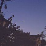 [ㅈㄱㄴ] 시 평가 좀 하고 <b>가셈</b>