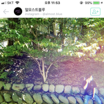 [EXO] 가방 살까말까 추반좀 ‘세훈<b>착용</b>’임
