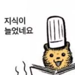 [ㅈㄱㄴ] 인형이랑 춤췄던 썰..^^