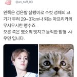 [시우민] 시우민팬들 또 시작이다