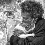 냥이를 사랑한 아재 <b>집사들</b>...