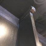 [개깊은빡침] 음식점에 이렇게 먼지 <b>수북</b>해도되는건가요