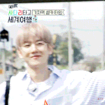 [백현] [2화] #힐링여행 #기차길 #인증샷 백현 <b>gif</b>