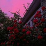 [댓글부탁해] 처음본 여자한테 어깨<b>동무</b>하는 남자는뭐임?