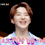 [세븐틴] ㅅㄷ 캐럿들 나