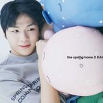 [강다니엘] 더스프링홈 <b>하마스</b> 강다니엘 뉴짤