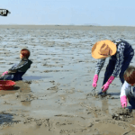 <b>갯벌</b>에서 집보다 더 편해보이는 빙구