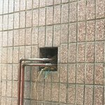 비둘기가 <b>창문</b> 앞 건물에 집지었어요