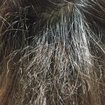 [개깊은빡침] 매직펌후 머리 다 탔음ㅠㅠ