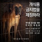 27일(일) 개.고양이 식용종식 전국민 대집회에 <b>참여</b>가 필요합니다.