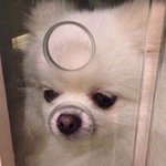 육걸에서 지금 옷시키면 <b>월욜</b>까지 올까??