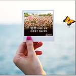 [꼭봐주세요] 가족들과 같이 오이오? 보러 가는거 어떤지...?...