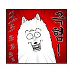 [이삐] 이번 <b>공방포카</b> 너무한거아냐;;