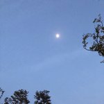 [댓글부탁해] 보정 <b>오때</b>